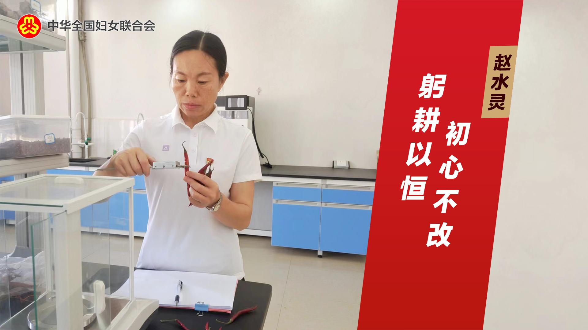 赵水灵：躬耕以恒 初心不改